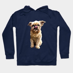 Brussels Griffon Bruxellois Cute Puppy Dog Hoodie